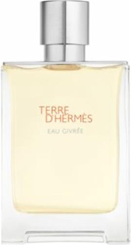 Hermès Terre d'Hermès Eau Givrée - 100 ml - eau de parfum spray - herenparfum