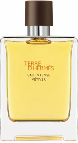 Hermes Terre d'Hermès Eau Intense Vétiver 100 ml - Eau de Parfum - Herenparfum